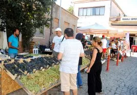 Bozcaada Bağbozumu Festivali 2025