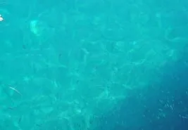 Bozcaada Hava Durumu 2025