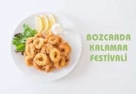 Bozcaada Kalamar Festivali 2024