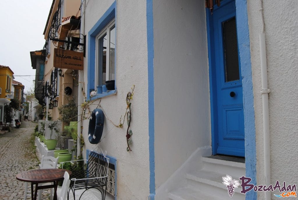 RÜZGAR GÜLÜ BOZCAADA