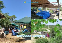 Bozcaada Kamp Alanları & Camping