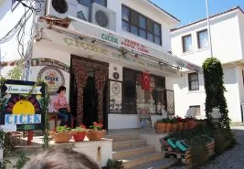 Bozcaada neyi ile meşhur?