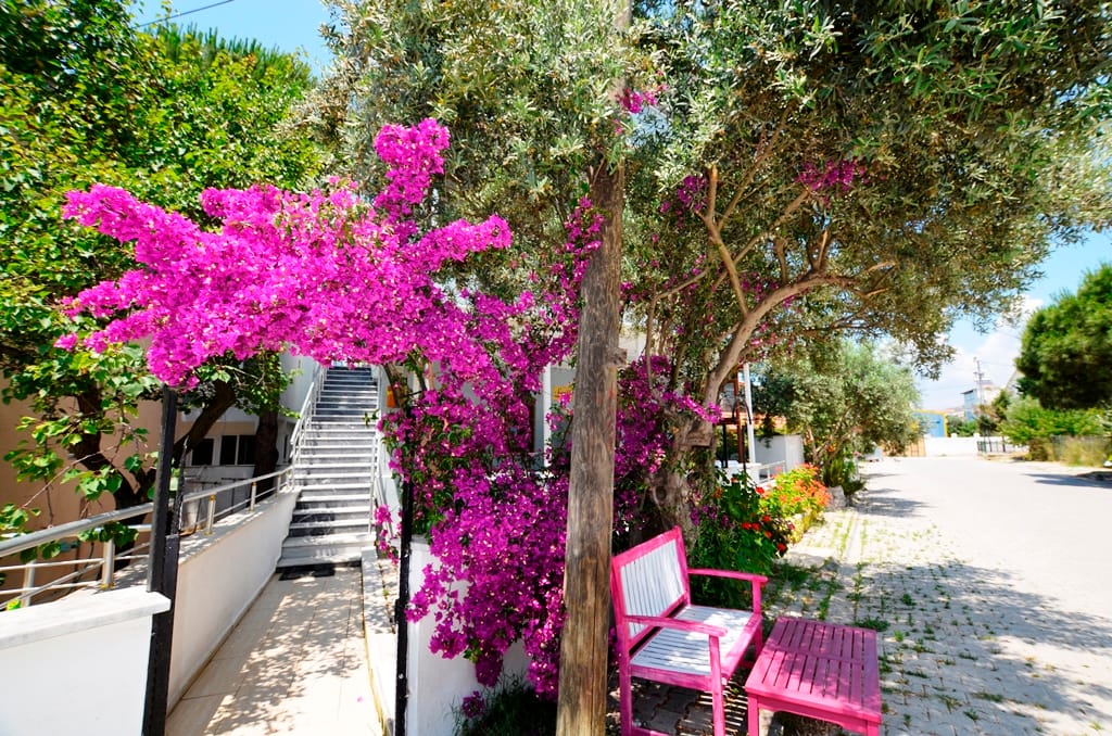 Avşa Adası Günlük Kiralık Evler 