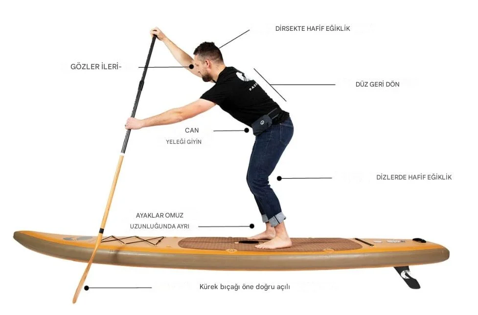 Yeni Başlayanlar için Paddle Board Rehberi 3 paddle board