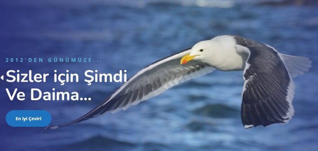 Yeminli Tercüman ve Almanca Çeviri 3 Yeminli Tercüman