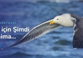 Yeminli Tercüman ve Almanca Çeviri