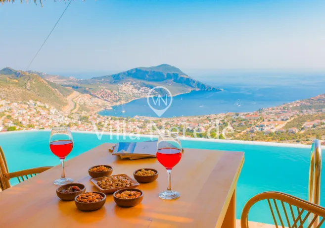 Neden Güvenilir Bir Villa Kiralama Şirketi veya Platformu Seçmelisiniz? 3 villa