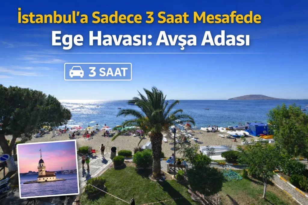 avşa adası