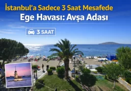 İstanbul’a Sadece 3 Saat Mesafede Ege Havası: Avşa Adası Pansiyon Fiyatları Yüz Güldürüyor